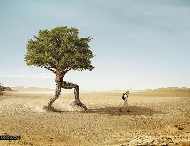 公益海报中的元素替代