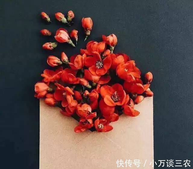 与朋友交,与朋友交,言而有信言而有信