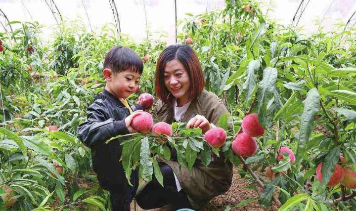 重磅!河南发现8000年历史的新石器时代遗址,又一个超级景区将诞