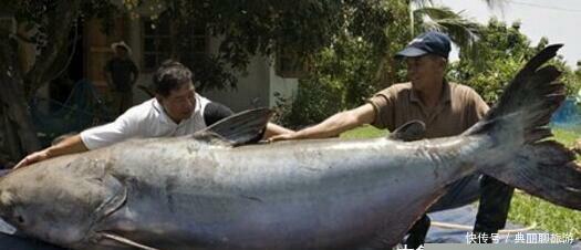 传说中国出现的7位神秘水怪