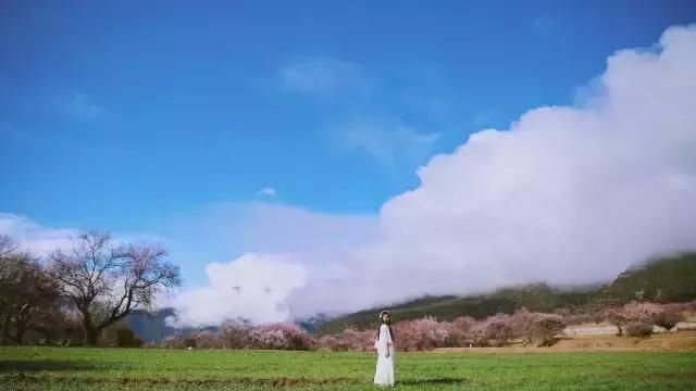再过一个月，国内这处桃花盛景就要藏不住啦！囊括高原最美雪山！