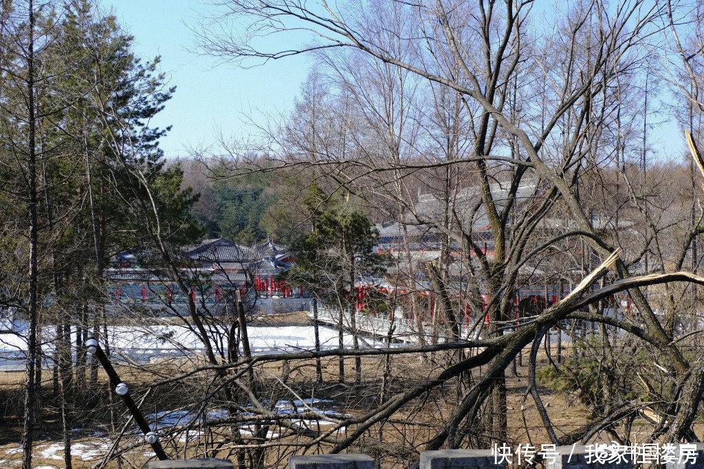 黑龙江毁林削山挖湖违建别墅！国土部3次拆除，仍屹立不倒！