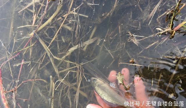努力:惊蛰过后,钓底还是钓浮考虑水情和鱼情,选择大于努力