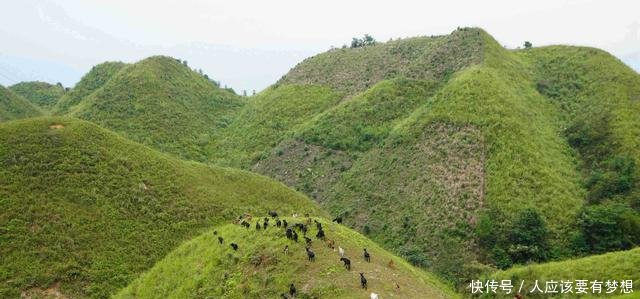 她身价百万，却返乡独住无人山坡，两年后乡亲刮目相看