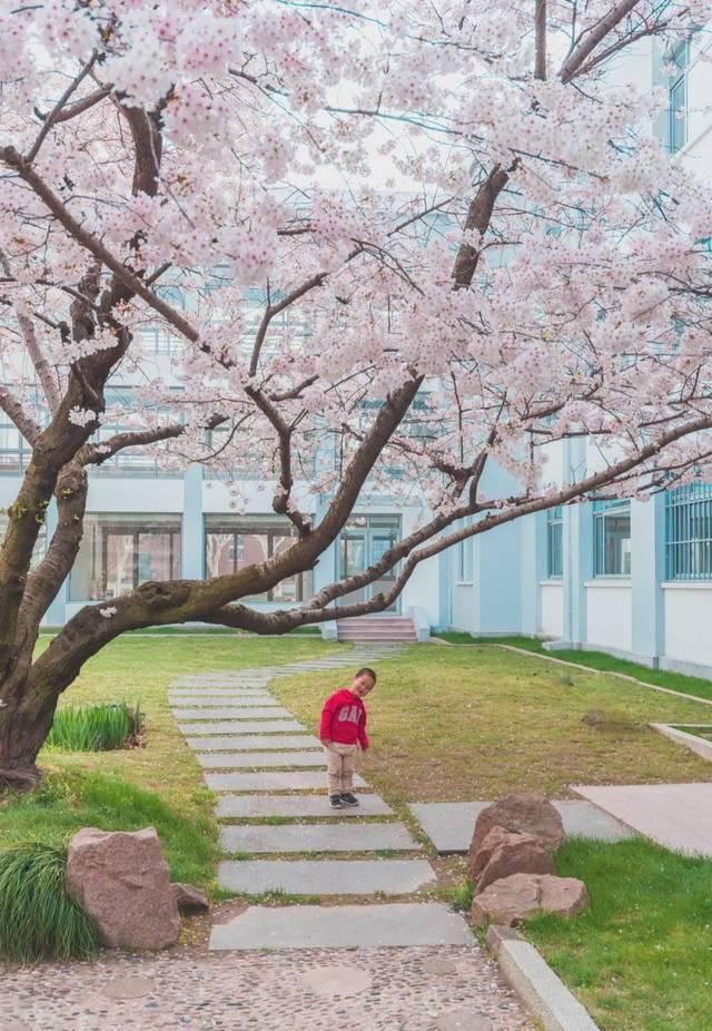  「究竟」云看花，中国美丽高等院校究竟看哪儿？