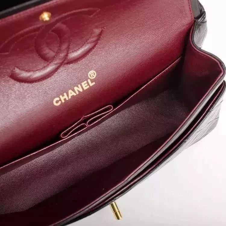  [香奈儿]CHANEL香奈儿官网数字命名的经典包包