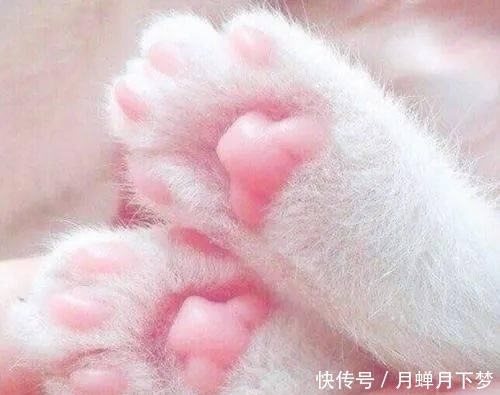  颜值■粉色系，是不是你梦中的神仙颜值婚礼