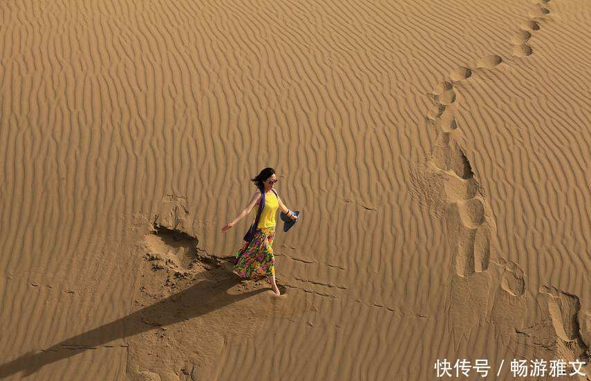 你在蚂蚁森林种的树现在怎么样了 这种结果连投资者马云也料不到