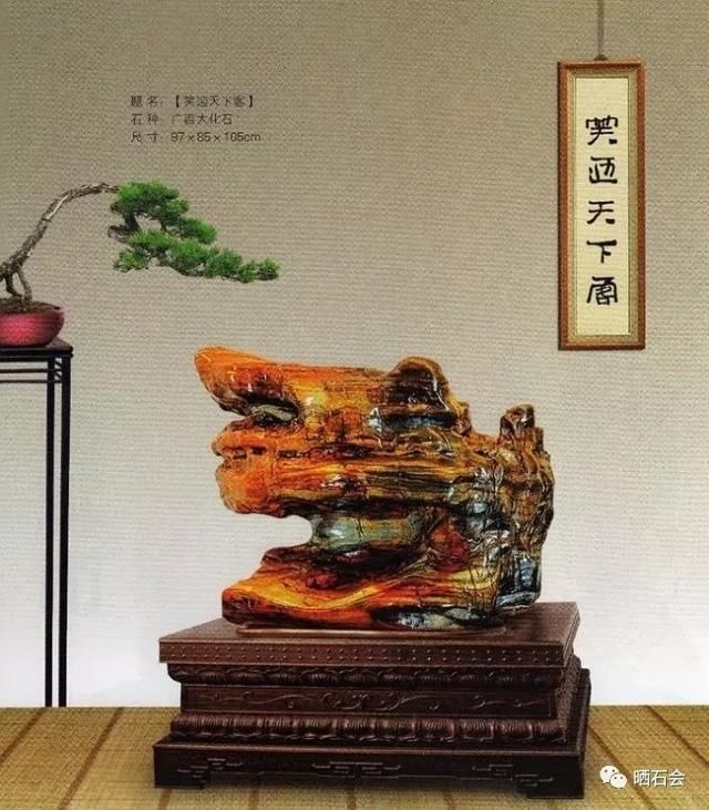 小县城发现的石头,捡来就能卖钱,成为当地人的聚宝盆