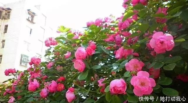 t0116d659e8a427f579.jpg?size=640x353