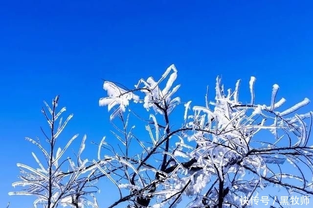 冰雪:灌阳风情:宝盖山的冰雪世界
