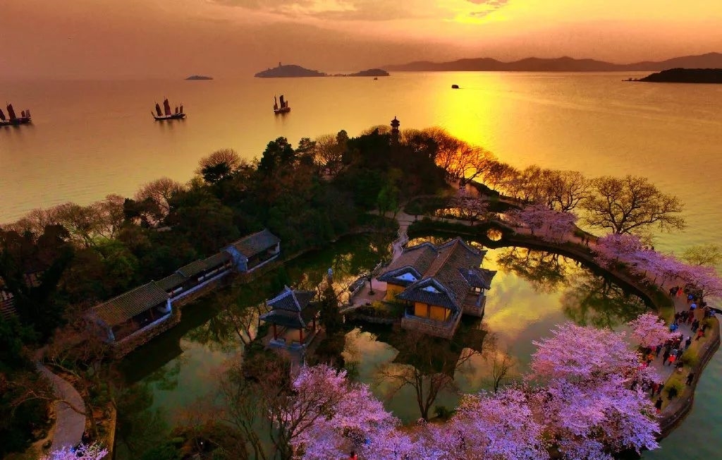 到无锡鼋头渚参加樱花节：让世界三大赏樱胜地之一给你个明媚春天