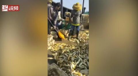  [一夜暴富]一夜暴富！广东渔民捕获6万斤黄花鱼 价值几百万