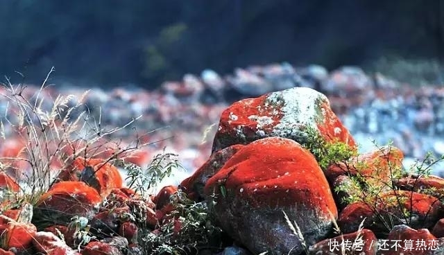 秋季最美的川西：给最爱美的你