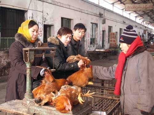 辛苦“一年”喂出来的土鸡却卖不动，农民：城里人为啥都不买了？