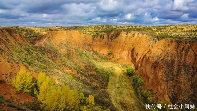 陕北这个沙漠可能快要改名成“森林”了