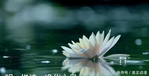 「运势」你可知,决定此生财富运势的人,是你身边的他们
