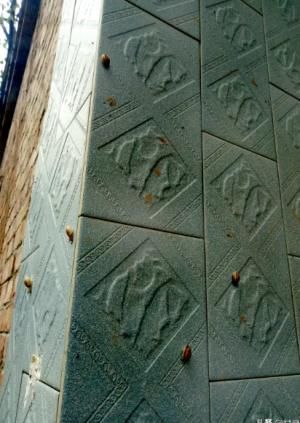  院里院外■每逢下雨，这种虫子就出来，农村太多了