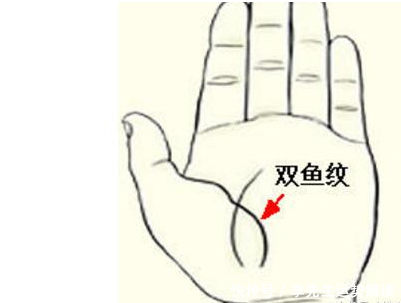 手上3条显贵线,官禄恒通