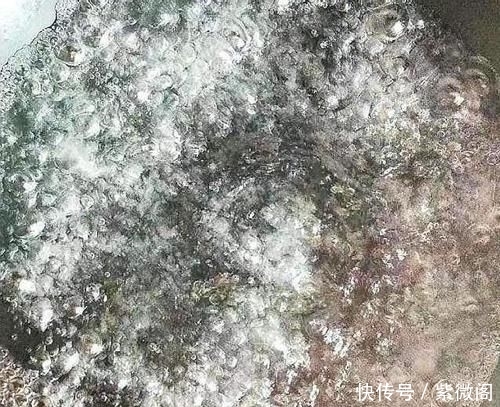  『红枣表面』它是“穷人的阿胶”，每天吃一碗，色斑没了，皮肤水灵灵
