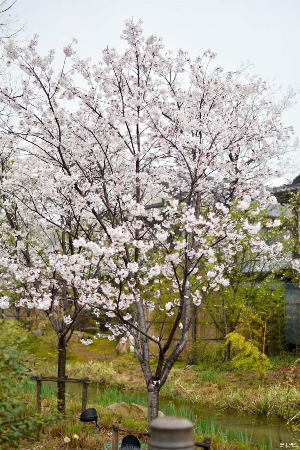 【自驾游】驾驶野帝带着老婆儿子太湖自驾之旅