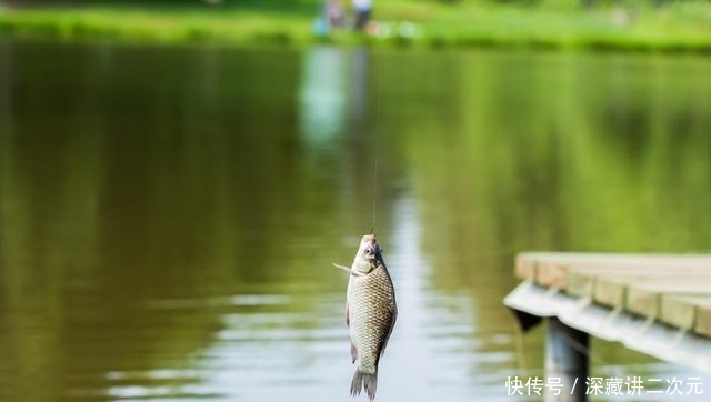  记住@正值繁殖季节，鲫鱼鲤鱼该怎么钓？记住这些方法上大鱼不难