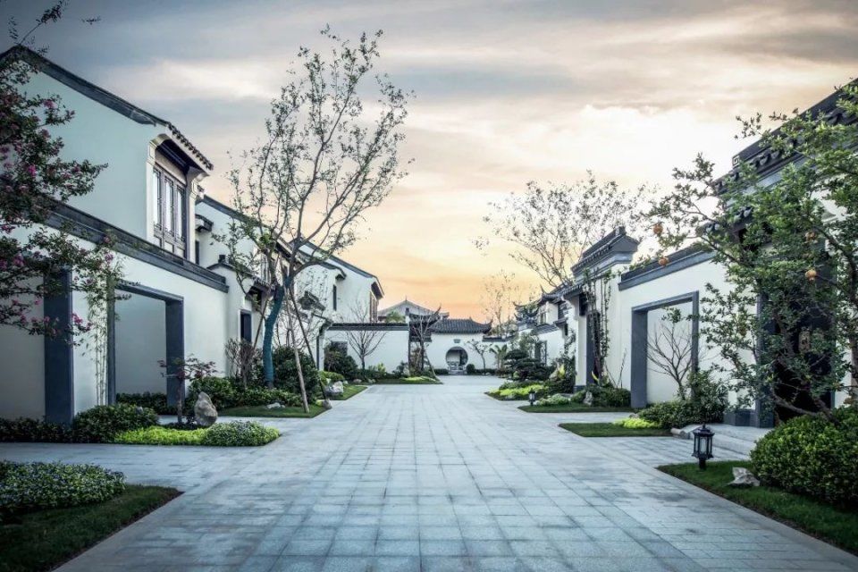  【宋卫】布局大湾区：宋卫平和他的理想小镇