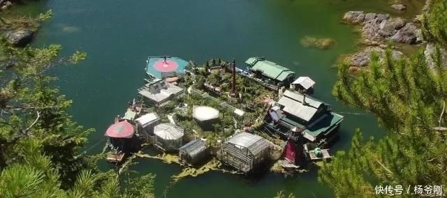  蔬菜：下半生，和爱的人一起养花种菜可好