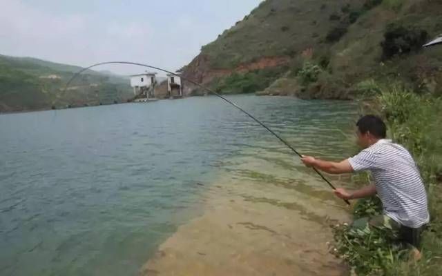 『技巧』在流水中钓鱼应该掌握什么技巧?