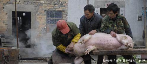 创业不如回农村，这8个赚钱好项目有干头，任意一个都比打工强！