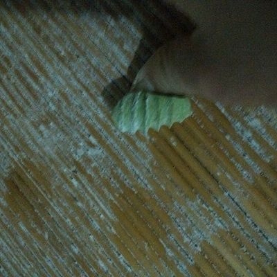  『炒蛋』番茄炒蛋烩猫耳朵面