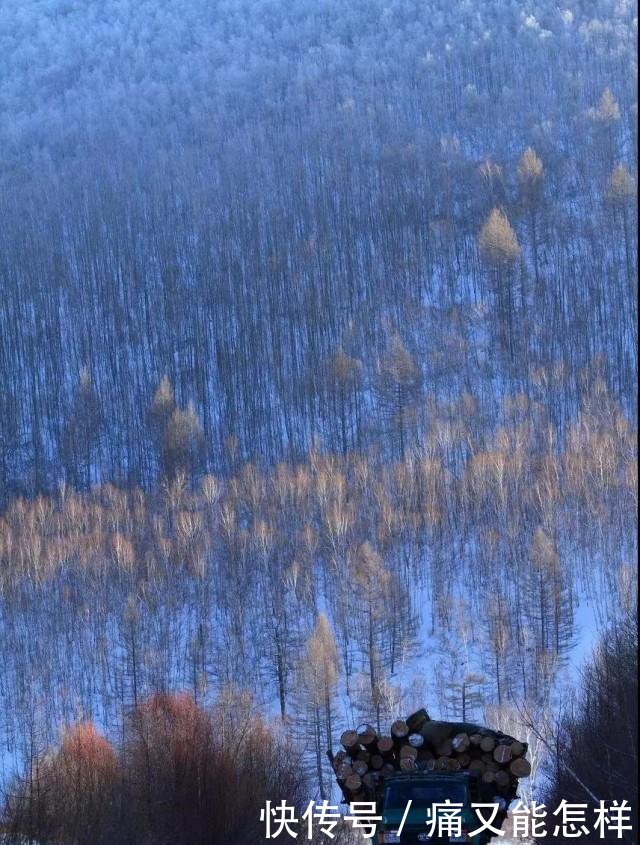 有一种美，叫阿尔山的秋