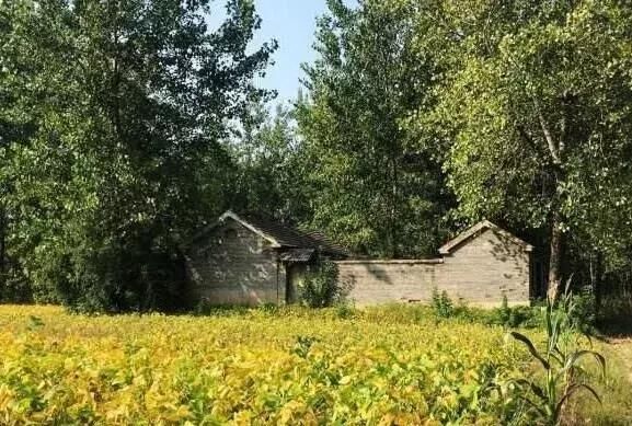 为什么要在老家留套房 ？看完你就懂了