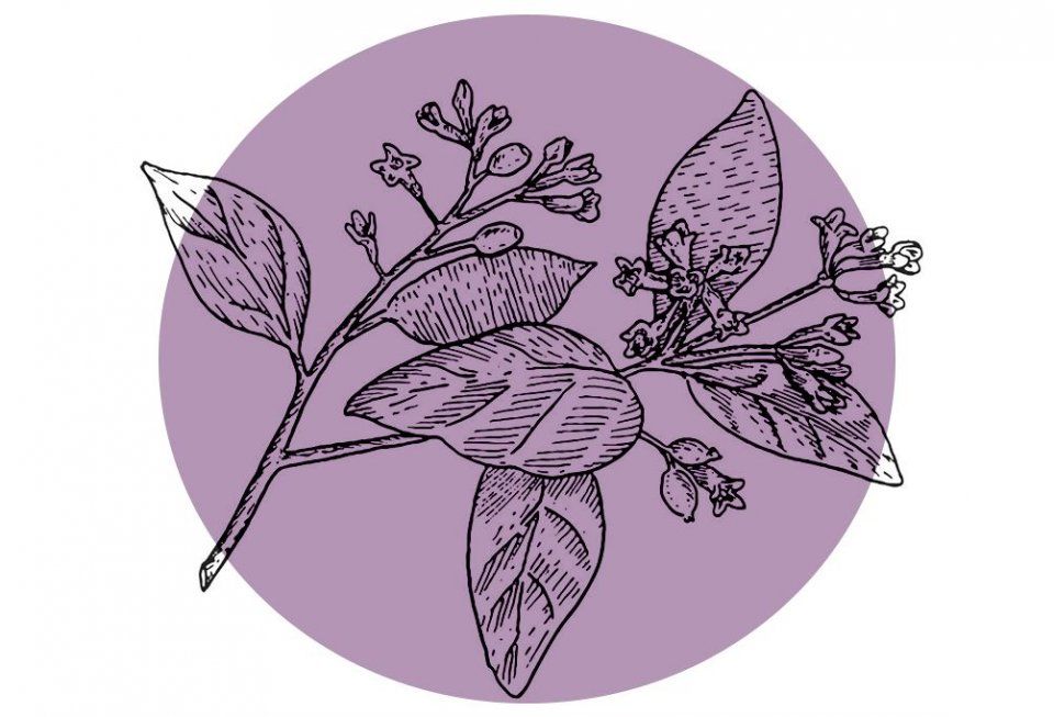 科普||吃胎盘，敷猪蹄面膜:看《延禧攻略》的娘娘们教你如何变美