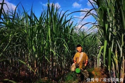 孩子带着父亲骑行去西藏，一共生存44天，衣食住行全是自己做主！