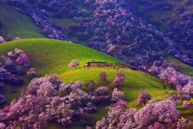 中国春天最美的七个地方，你最想去哪个？