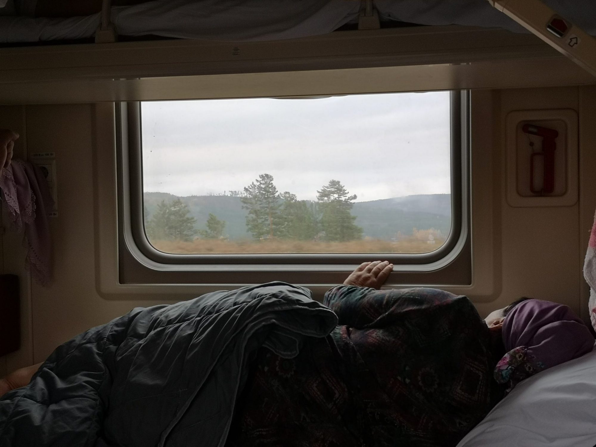 全球最孤独火车:仅一列车厢要开上万千米,停157站坐8天才到终点