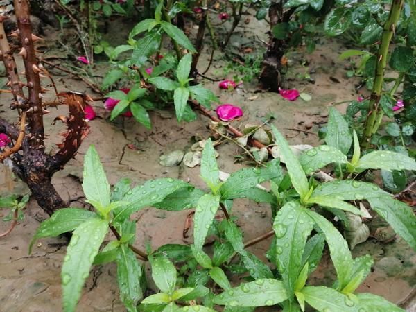  【冷空气】冷空气来袭！河南各地都是雨雨雨，郑州等地今晚将迎
