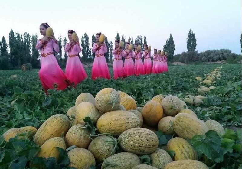  『吃香』新疆未来最“吃香”的城市，不是吐鲁番，而是这个不知名的地方