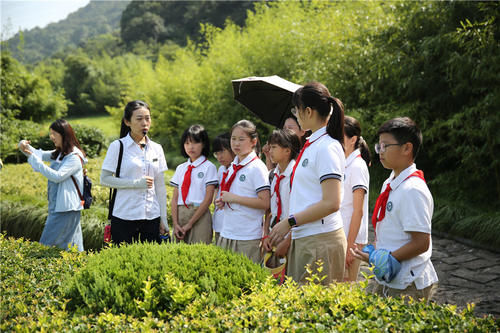 一路向北，杭州的这个“网红”打卡地火了！来这抓个“娃娃”可好