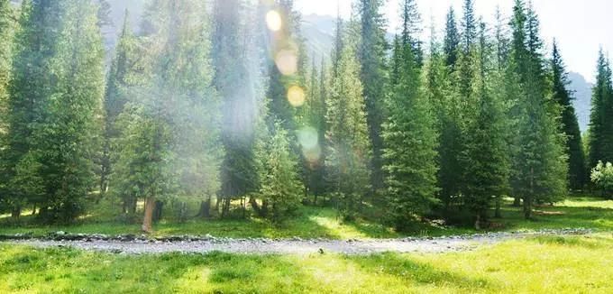 这条用时5天的自驾路线，你能从夏末一直看到初秋