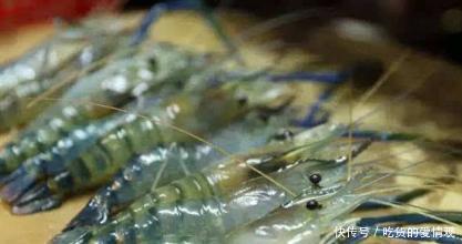 想不开的入侵物种，这一淡水虾王混入中国，下场估计比小龙虾都惨