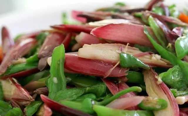 这种野味，可以卖到50元一斤 竟发现商机开始人工种植