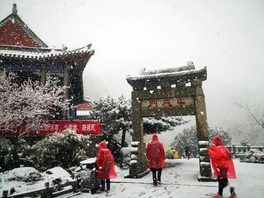  『岱宗』春雪空濛落岱宗，最美人间四月天