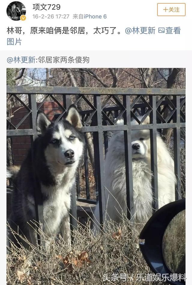 被晒病历造谣已遭网友盗号表白思聪林更新的遭遇总是为何这么清奇