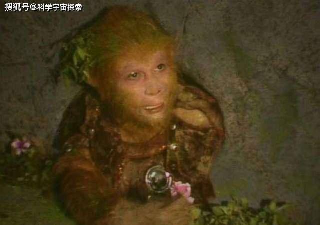 公式@人类的极限寿命是多少岁科学家用3个公式,算出人类寿命极限值