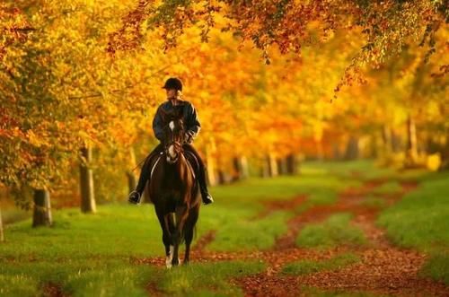 欧洲的秋天,真的不是童话!