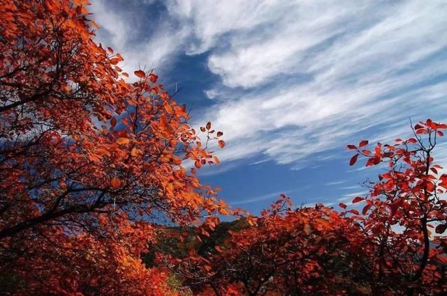 全国首条旅游高速，井陉这些景点名列其中！！