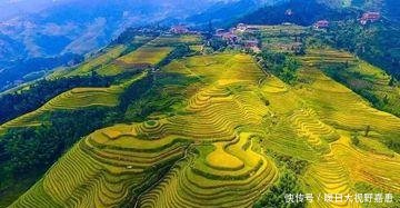 秋天到广西,9个必去的梯田山水画卷