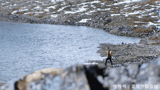 这部纪录片央视发力了，每一帧都可以当壁纸，BBC也无法超越